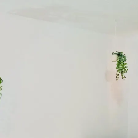 Sea La Vie Bella Carolina *