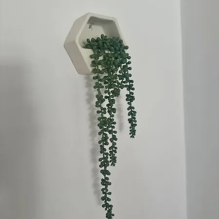 Sea La Vie Bella Carolina Daire *