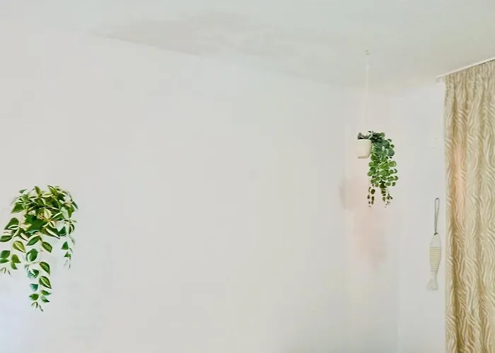 Sea La Vie Bella Carolina *