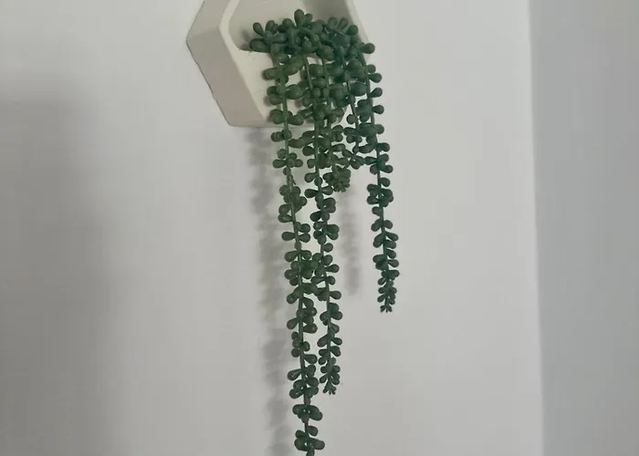 Sea La Vie Bella Carolina Appartamento *