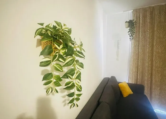 Apartament Sea La Vie Bella Carolina *